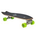 Carver Lost Pisces 29 C7 Surfskate complet