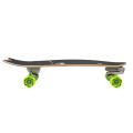 Carver Lost Pisces 29 C7 Surfskate complet