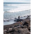 Starboard Spice Acute Carbon Stand Up Paddle Surf rigide