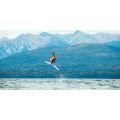 FONE Strike 6 QuadX 2026 Aile de wingfoil