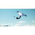 FONE Strike V6 CWC 2026 Aile de wingfoil light wind ultra puissante