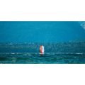 FONE Quest Pocket Wing 2026 Aile de pocket wing et downwind