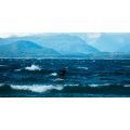 FONE Rocket Free Surf 2026 couleur sable Planche de Freefly, Surf et Downwind