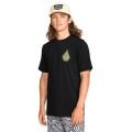 Volcom all seeing ss tee 2026