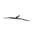 Duotone Wing Set Blitz D/LAB 2026 Ensemble aile avant et stabilisateur de foil