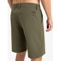 Quiksilver Union Amphibian 20 Grape Leaf Boardshort pour homme