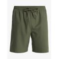 Quiksilver Taxer Amphibian 18 Grape Leaf Boardshort pour homme