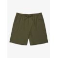 Quiksilver Taxer Amphibian 18 Grape Leaf Boardshort pour homme