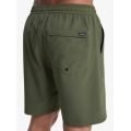 Quiksilver Taxer Amphibian 18 Grape Leaf Boardshort pour homme