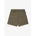 Quiksilver Run Ashore Amphibian 18 Grape Leaf Boardshort pour homme