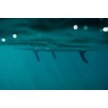 Duotone Alfa WS Air Planche de Stand Up Paddle/WindSUP hybride