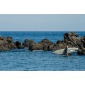 Duotone Raven Air SLS Planche de Stand Up Paddle touring gonflable légère et performante