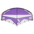 Reedin Purenatural 2026 aile de Wingfoil Reedin Purenatural 2026 aile de Wingfoil