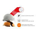 Forward wip surf bob bump shell 2026 Forward wip surf bob bump shell 2026