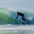 Forward wip surf bob bump shell 2026 Forward wip surf bob bump shell 2026