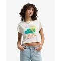 Billabong coastal adventures 2026