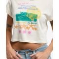 Billabong coastal adventures 2026