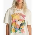 Billabong birds of paradise 2026 Billabong birds of paradise 2026