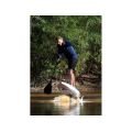 ARMSTRONG APF Front Foil 2026