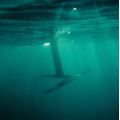 FONE Plane Seven Seas Carbon 1500 Avion complet