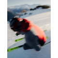 Volkl racetiger jr yellow + 7.0 vmot Ski h27 Volkl racetiger jr yellow + 7.0 vmot Ski h27