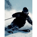 Volkl peregrine 78 lowride + lr 11 Ski h27 Volkl peregrine 78 lowride + lr 11 Ski h27