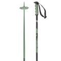 Salomon steep iceberg green black Batons h27