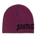 Santa cruz santa cruz beanieh27 PUNK STRIP BEANIE