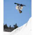 LIBTECH T.Rrice Pro 2027 Planche de snowboard LIBTECH T.Rrice Pro 2027 Planche de snowboard