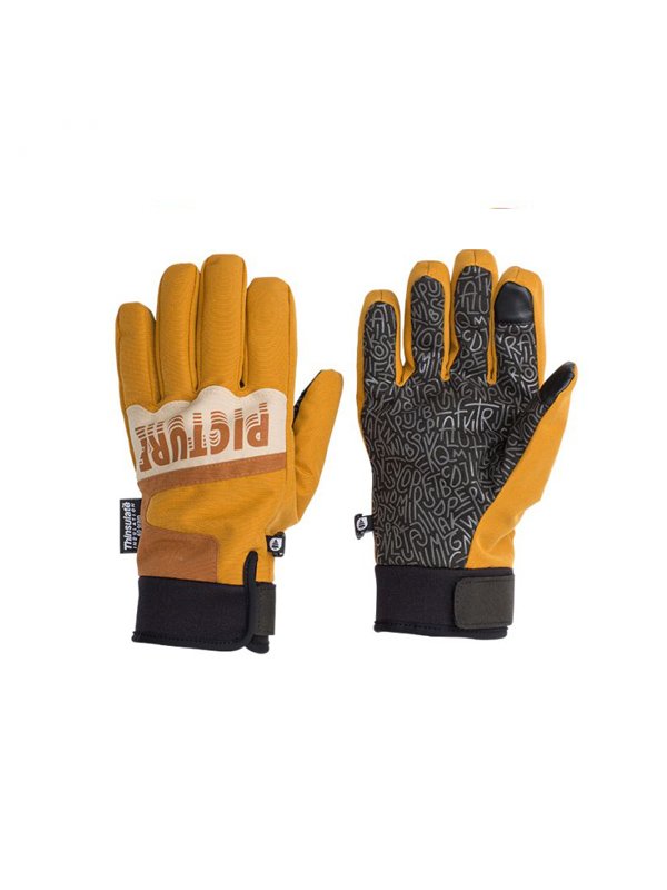 picture 2018 gants ski snow